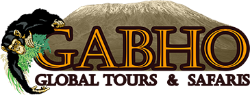 Gabho Global Tours & Safaris
