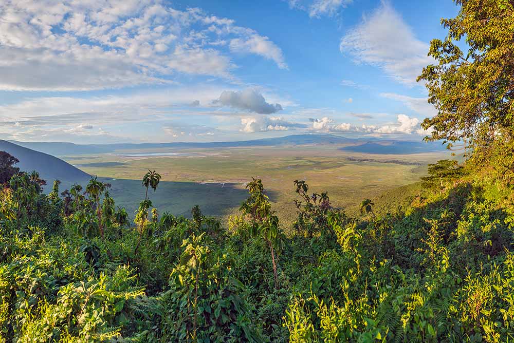 tarangire ngorongoro safari